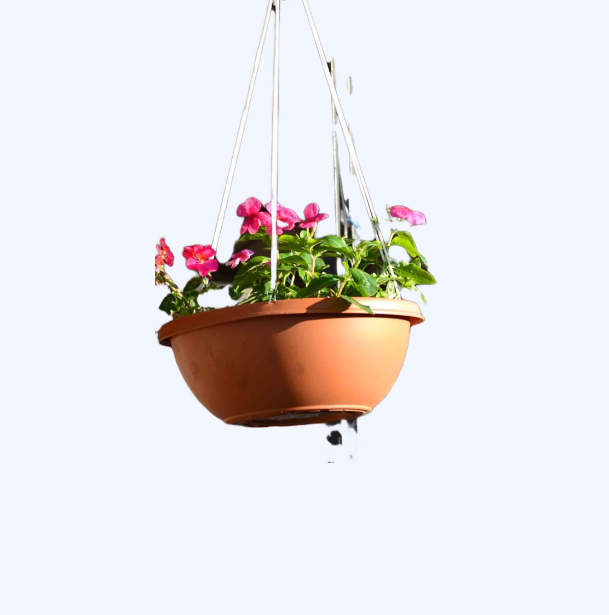 hanging pots